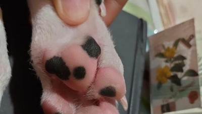Kumpulan Foto yang Bikin Mata dan Otak Berimajinasi
