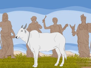 Olympusnicus