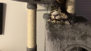 Awas kepalanya copot! Foto: Bored Panda