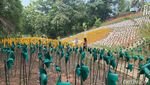 Instagramable Banget! Kebun Kincir Angin di Karawang