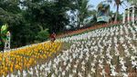 Instagramable Banget! Kebun Kincir Angin di Karawang
