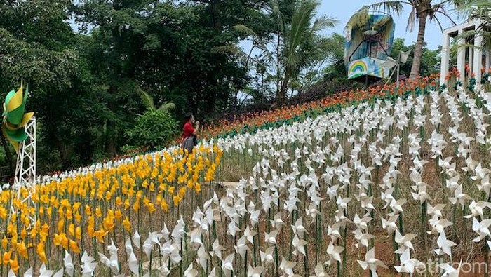 Marigold Garden Karawang