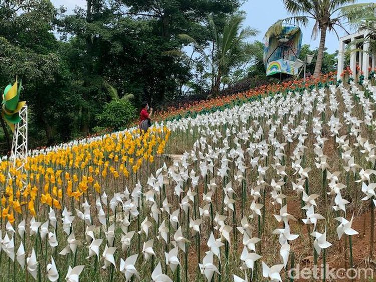 Instagramable Banget! Kebun Kincir Angin di Karawang