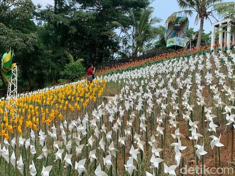 Marigold Garden Karawang