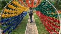 Marigold Garden Karawang merupakan tanah milik Perum Jasa Tirta (PJT). Lokasinya di Desa Tamelang, Kecamatan Purwasari Kabupaten Karawang, Jabar. (Yuda Febrian Silitonga)