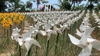Marigold Garden juga mampu menampung dengan kapasitas maksimum 2.000 pengunjung. Fasilitas untuk pengunjung relatif komplet; toilet, mushola, kantin, hamparan rumput sintetis untuk berkumpul. (Yuda Febrian Silitonga)