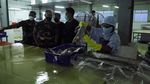 Mutiara Pattimur Bantu Nelayan di Tual Maluku