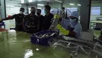 Pangdam XVI/ Pattimura, Mayjen TNI Richard Tampubolon melalui Mutiara Pattimura terus bersinergi dengan berbagai pihak untuk mengatasi kesulitan masyarakat dan meningkatkan kesejahteraan masyarakat.