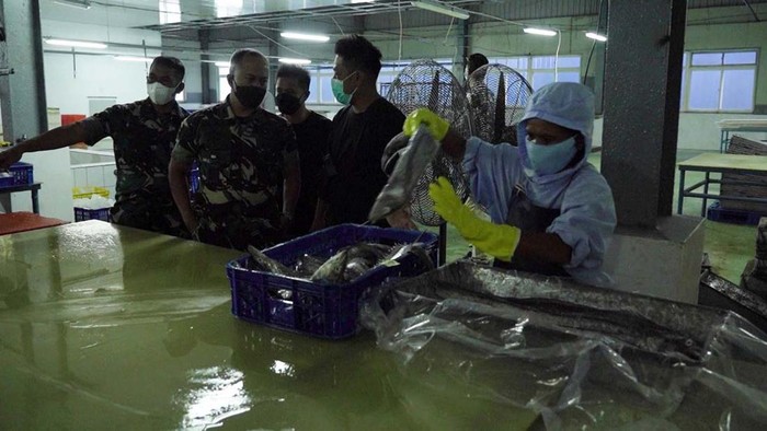 Kodam Pattimura luncurkan program Mutiara Pattimura di Tual, Maluku Tenggara. Program ini untuk membantu nelayan menjual tangkapan ikannya.