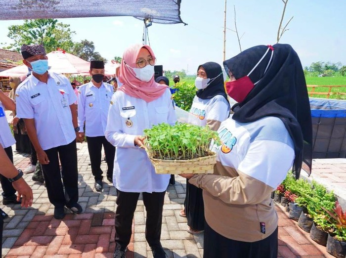 pemkab banyuwangi