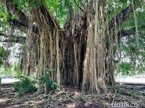 Kalender Jawa Selasa Wage 23 Januari 2024: Jadi Tempat Berlindung