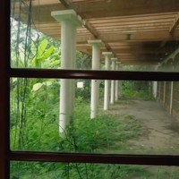 Penampakan halaman belakang yang luas. Tak terawat, halaman tersebut kini penuh tumbuhan liar. (Foto: YouTube/Papi Story)