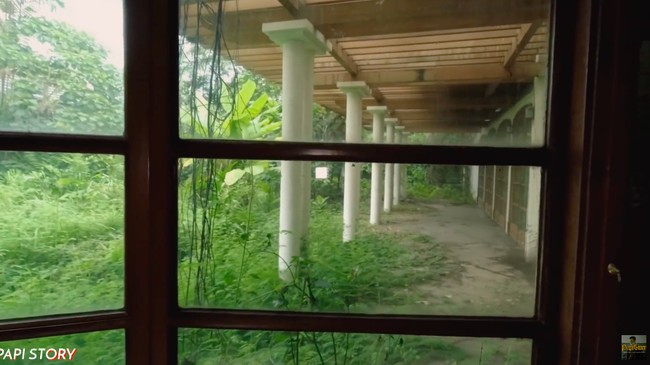 Penampakan halaman belakang yang luas. Tak terawat, halaman tersebut kini penuh tumbuhan liar. (Foto: YouTube/Papi Story)