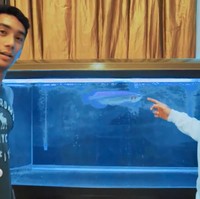 Saat mampir ke rumah Marini dan bertemu Daffa, Verrell terkagum dengan salah satu hiasan di rumah tersebut. Ada akuarium berisi ikan arwana yang disebutnya berharga fantastis.  (Foto: YouTube/VRL Bramasta)
