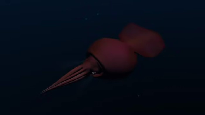 Colossal squid, cumi-cumi raksasa yang hidup di laut Antartika.