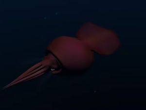 Mengenal Cumi Raksasa yang Hidup di Laut Antartika, Si Colossal Squid
