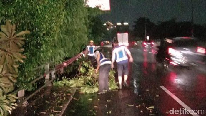 Hujan Deras Disertai Angin di Surabaya Sebabkan Banjir-Pohon Tumbang