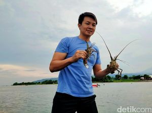 Kampung Lobster Banyuwangi Punya Mimpi Besar untuk Indonesia