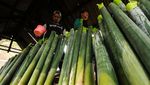 Melihat Pembuatan Lemang Bambu Khas Ramadan