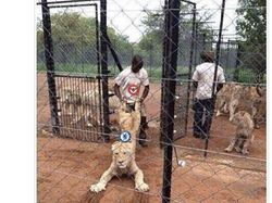 Meme Chelsea Kena Bantai Brentford, MU Kegocek Lagi