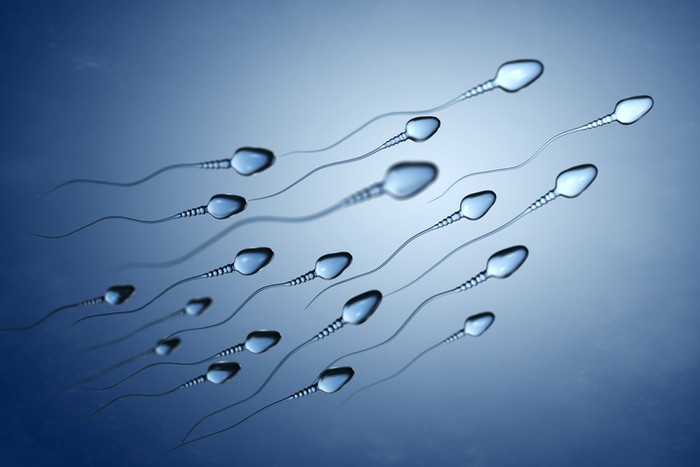 Fakta dari Mitos Makanan untulk Kualitas Sperma