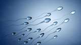 Kenali Tanda-tanda Sperma yang Kurang Sehat