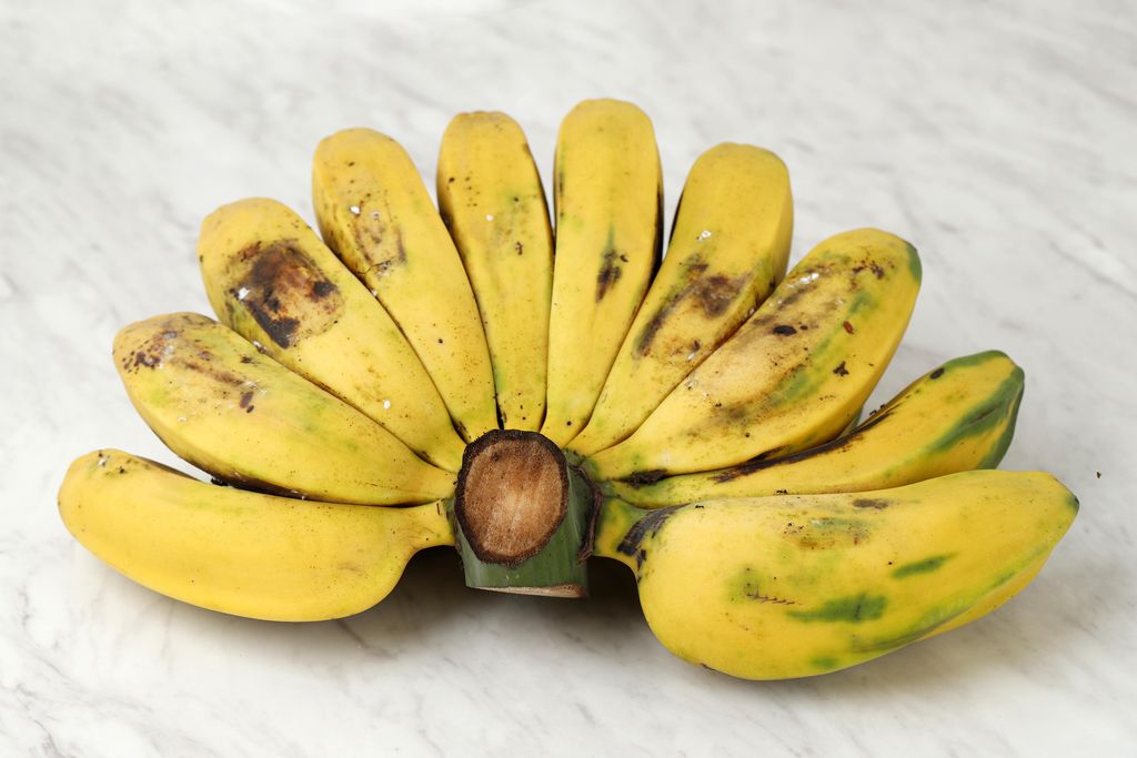 Resep Setup Pisang Kepok Kuning
