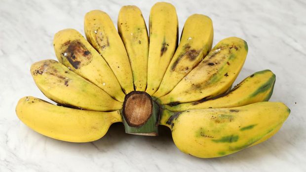 Resep Setup Pisang Kepok Kuning