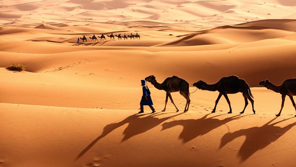 Apa Benar Gurun Sahara Dulunya Hijau? Cek Faktanya di Sini