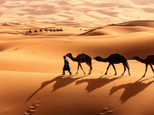 Apa Benar Gurun Sahara Dulunya Hijau? Cek Faktanya di Sini