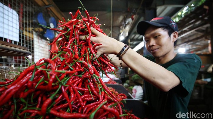 Hari Kedua Ramadan, Harga Cabai Naik Memasuki awal ramadan 2022, sejumlah harga bahan pokok di Pasar Senen melonjak naik. Salah satu bahan pokok yang harganya merangkat naik adalah cabai.