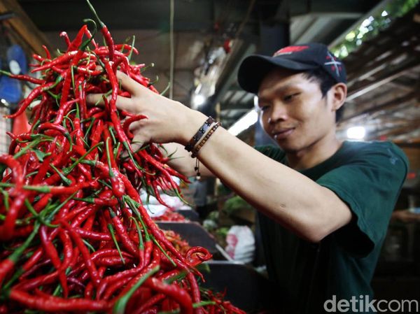 Hari Kedua Ramadan, Harga Cabai Perlahan Naik