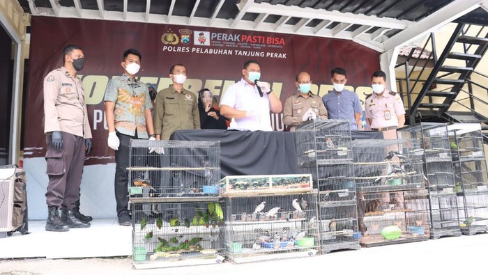 Ratusan burung langka diamankan