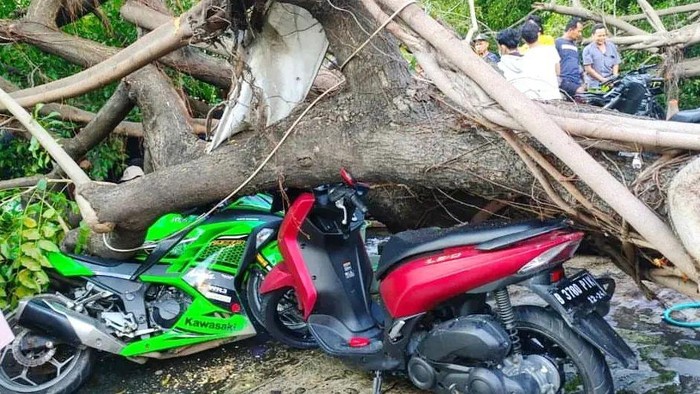 Sebanyak 7 sepeda motor tertimpa pohon yang tumbang di Jaktim. Selain itu, seorang warga terluka akibat kejadian pohon tumbang ini. (Twitter @humasjakfire)