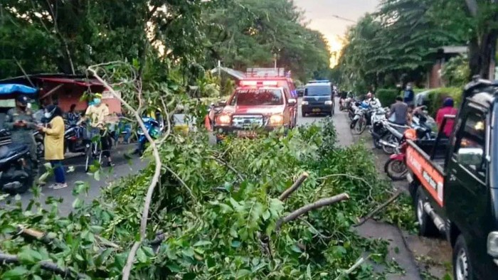 Sebanyak 7 sepeda motor tertimpa pohon yang tumbang di Jaktim. Selain itu, seorang warga terluka akibat kejadian pohon tumbang ini. (Twitter @humasjakfire)