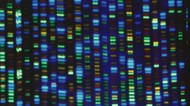 Ilmuwan Akhirnya Sempurnakan Urutan Genom Manusia