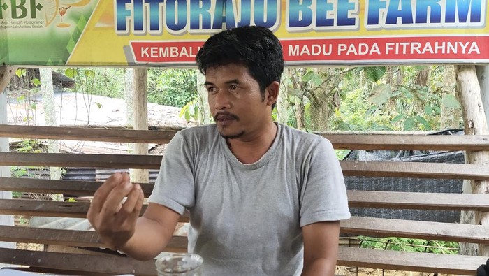 Beternak Lebah Madu
