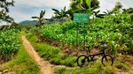 Kudus Juga Punya Situs Purbakala