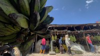 Stok pisang pun berlimpah di pasar tradisonal dengan harga yang bervariasi tergantung jenisnya.