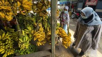 Salah seorang pedagang mengakui permintaan pisang meningkat terutama pada jenis pisang kepok, nangka, tanduk dan kapas. Karena jenis-jenis pisang tersebut merupakan jenis pisang yang tepat jika dijadikan bahan dasar kolak pisang atau oalahan makanan lain khas bulan puasa.