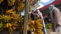 Selain itu, tingginya permintaan pisang kemungkinan besar juga karena pelaku usaha kerajinan rumahan, seperti produksi makanan roti, sale pisang dan kripik sedang dalam masa produksi.