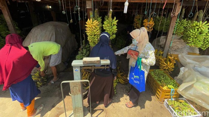 Bulan Puasa, Buah Pisang Laris Manis Buah pisang sebagai bahan dasar makanan kolak pisang mengalami kebanjiran order selama bulan puasa, Selasa, 5/4/2022.