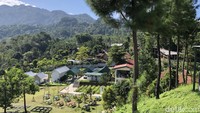 Selain pemandangan alam dan coffeeshop, terdapat playground untuk anak kecil bermain di sini. Cocok untuk keluarga yang ingin menikmati suasana royo-royo.