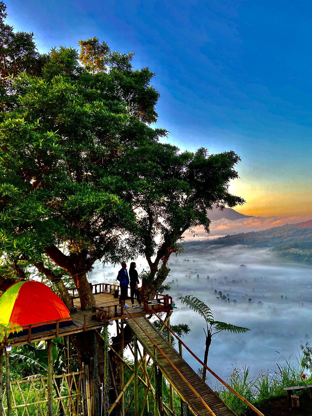 Tempat kemping di Desa Pinggan, Kintamani, Bangli.