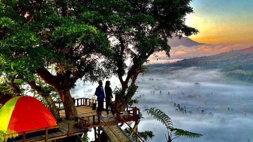 Tempat kemping di Desa Pinggan, Kintamani, Bangli.