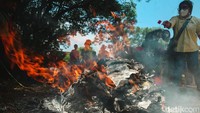 Tradisi Ceng Beng muncul pertama kali pada era Dinasti Han (202 SM hingga 220 M). Kemudian tradisi ini menjadi familiar pada zaman Dinasti Tang (618-907 M).