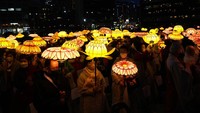 Lentera teratai tersebut berwarna kuning keemasan dan terlihat sangat memukau di malam hari.