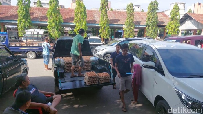 Terminal Pangkajene Kabupaten Sidenreng Rappang (Sidrap), Sulsel jadi tempat permainan harga telur disorot DPRD hingga diminta ditertibkan.