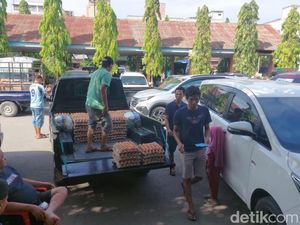 Terminal Sidrap Jadi Tempat Permainan Harga Telur, Pemkab Diminta Tertibkan