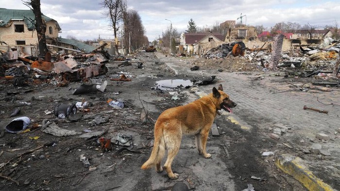 Tanya Nedashkivs'ka, 57, mourns the death of her husband, killed in Bucha, on the outskirts of Kyiv, Ukraine, Monday, April 4, 2022. (AP Photo/Rodrigo Abd)